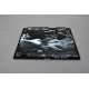 ASUS LCD SL930817_1